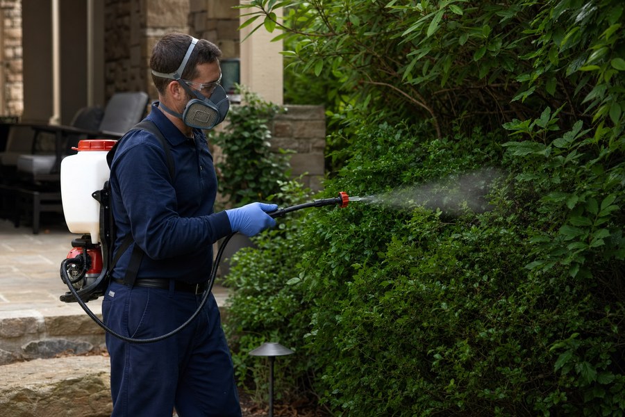 Technician treating shaded shrubs for mosquitoes in a residential yard
