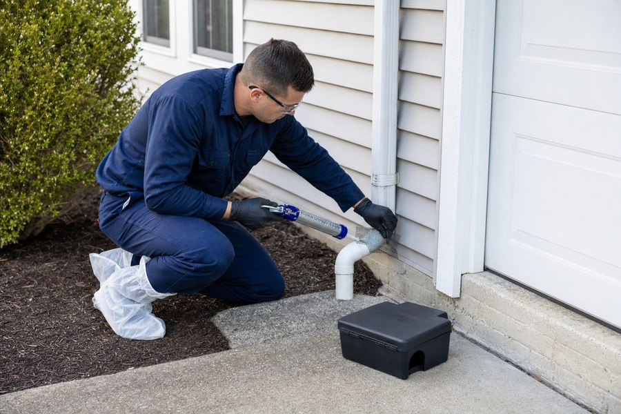 Technician sealing a rodent entry point beside a Maryland home