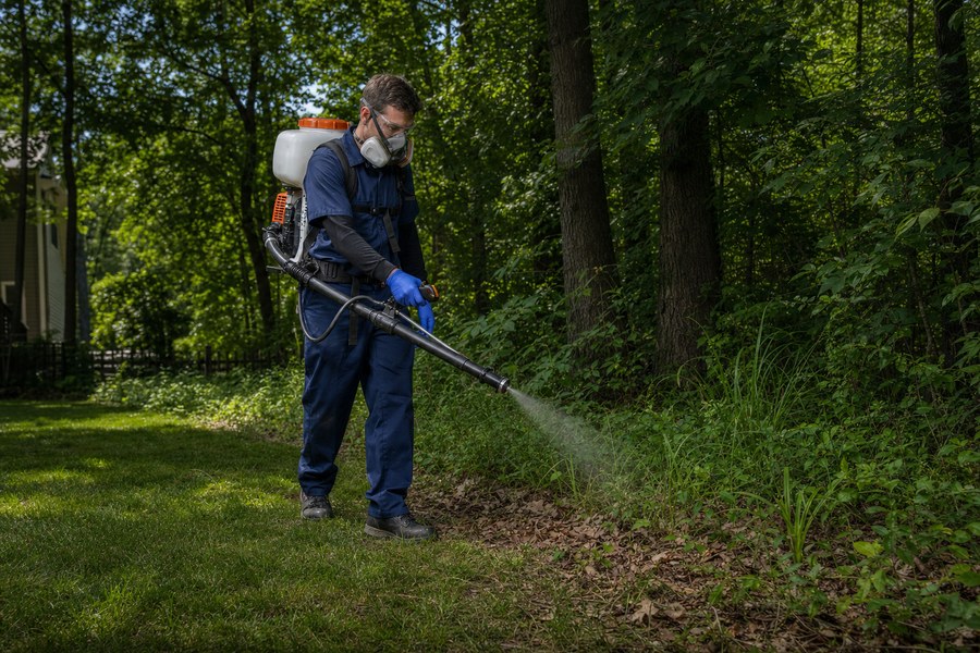 Technician treating the lawn edge and leaf litter for ticks